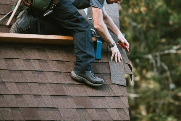 Best Roof Gutter Cleaning  in Aberdeen, IN